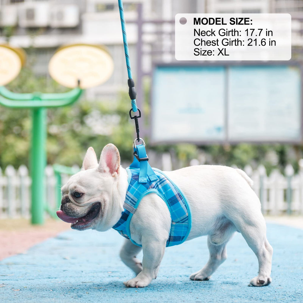 BEAUTYZOO Blue Plaid Dog Harness and Leash Set - Step-In No Choke No Pull, Reflective Vest Harness for Small Medium Dogs, Chest Girth 16-18 Inches