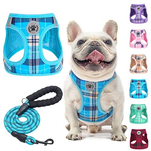 BEAUTYZOO Blue Plaid Dog Harness and Leash Set - Step-In No Choke No Pull, Reflective Vest Harness for Small Medium Dogs, Chest Girth 16-18 Inches