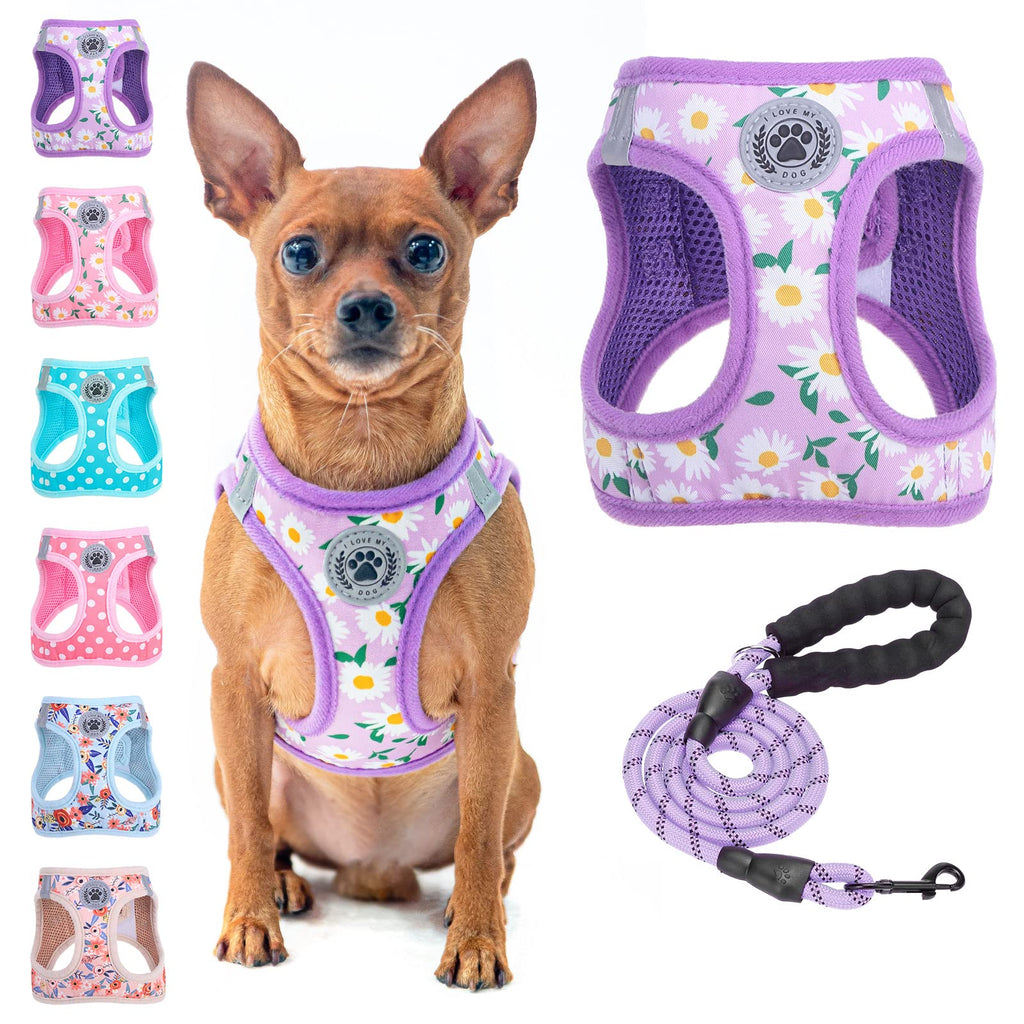 BEAUTYZOO Floral Reflective Step-in Dog Harness and Leash Set for Small Dogs & Cats - Purple Daisy, XX-Small