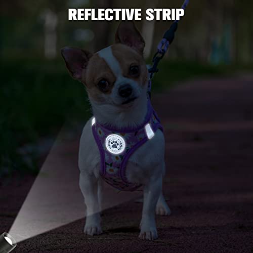 BEAUTYZOO Floral Reflective Step-in Dog Harness and Leash Set for Small Dogs & Cats - Purple Daisy, XX-Small