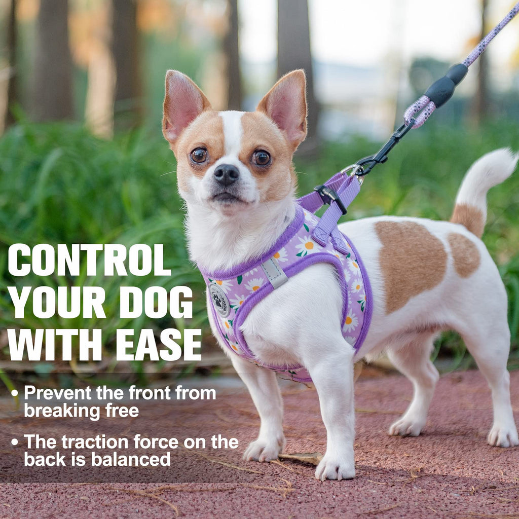 BEAUTYZOO Floral Reflective Step-in Dog Harness and Leash Set for Small Dogs & Cats - Purple Daisy, XX-Small