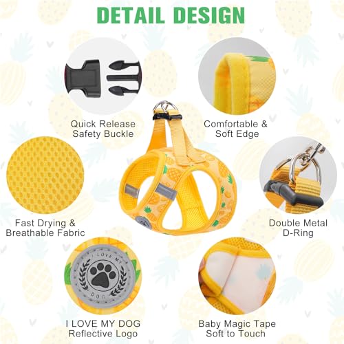 BEAUTYZOO Pineapple Step-In Dog Harness and Leash Set – Reflective No-Pull Vest for Small Dogs, Machine Washable