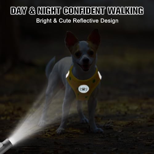 BEAUTYZOO Pineapple Step-In Dog Harness and Leash Set – Reflective No-Pull Vest for Small Dogs, Machine Washable