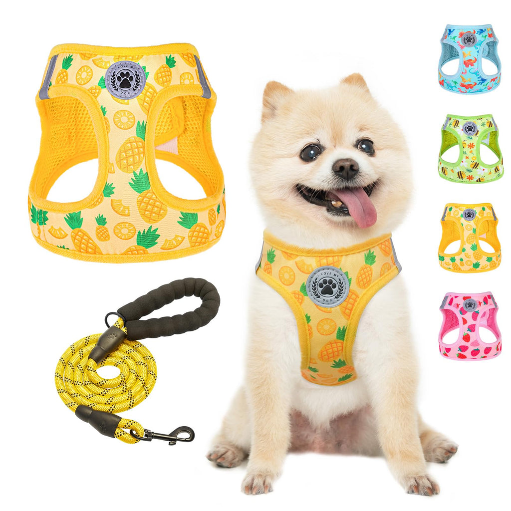 BEAUTYZOO Pineapple Step-In Dog Harness and Leash Set – Reflective No-Pull Vest for Small Dogs, Machine Washable
