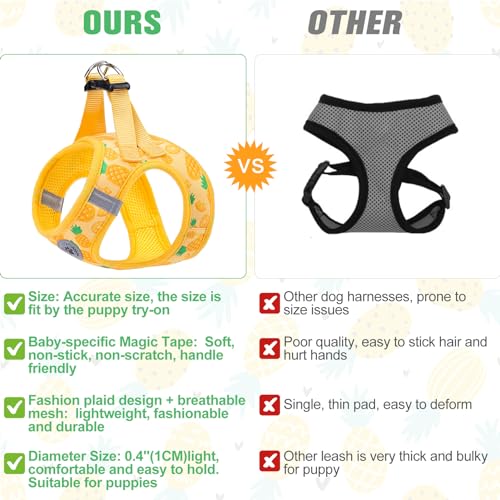 BEAUTYZOO Pineapple Step-In Dog Harness & Leash Set - Reflective No Pull Vest for Small Dogs and Cats, XS