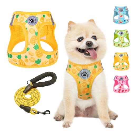 BEAUTYZOO Pineapple Step-In Dog Harness & Leash Set - Reflective No Pull Vest for Small Dogs and Cats, XS