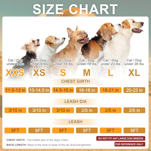 BEAUTYZOO Pineapple Step-In Dog Harness & Leash Set - Reflective No Pull Vest for Small Dogs and Cats, XS