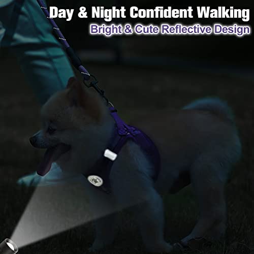 BEAUTYZOO Purple Plaid Small Dog Harness and Leash Set - XXS Step In No Choke No Pull Vest Harness with Reflective Strips for Extra Small Puppies and Cats