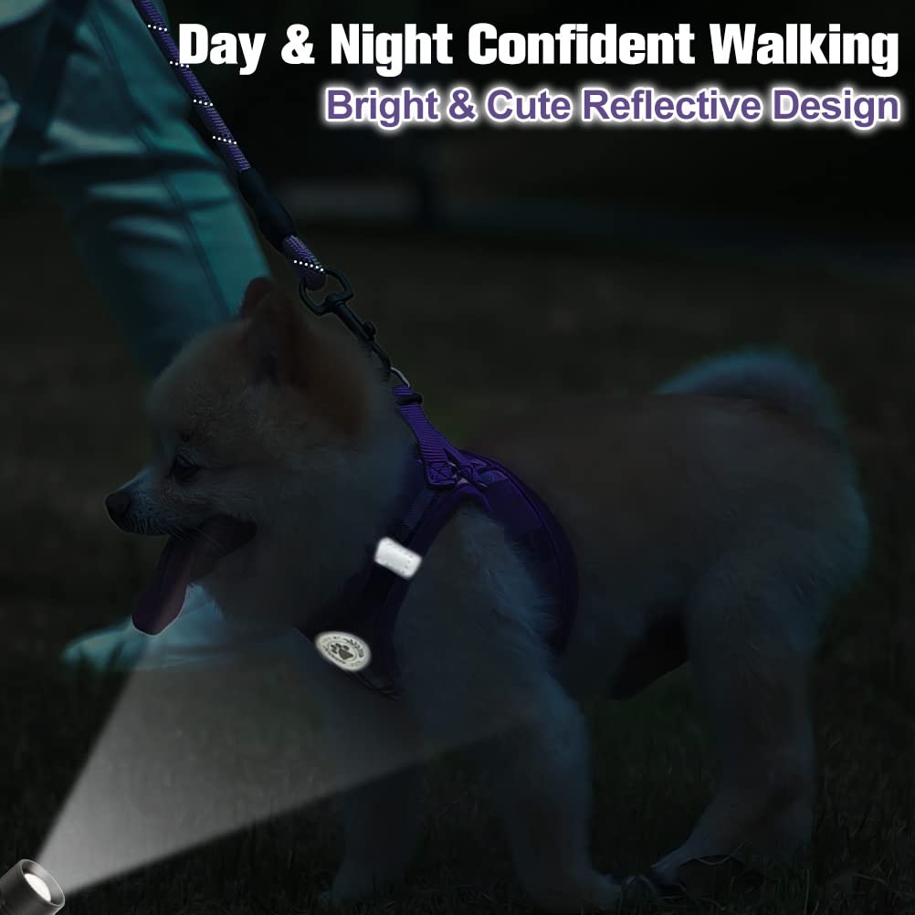 BEAUTYZOO Purple Plaid Small Dog Harness and Leash Set - XXS Step In No Choke No Pull Vest Harness with Reflective Strips for Extra Small Puppies and Cats