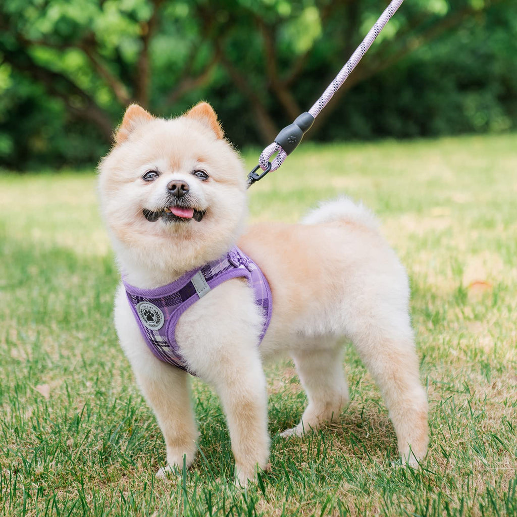 BEAUTYZOO Purple Plaid Small Dog Harness and Leash Set - XXS Step In No Choke No Pull Vest Harness with Reflective Strips for Extra Small Puppies and Cats