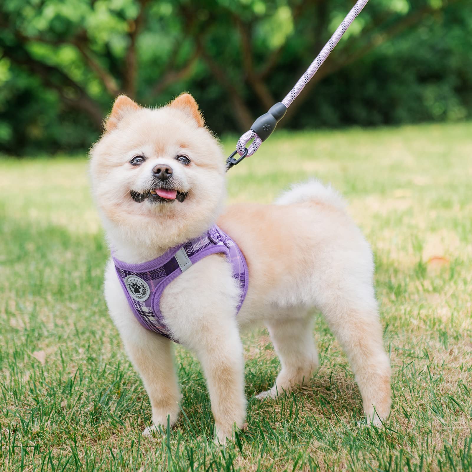 BEAUTYZOO Purple Plaid Small Dog Harness and Leash Set - XXS Step In No Choke No Pull Vest Harness with Reflective Strips for Extra Small Puppies and Cats