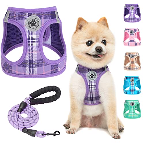 BEAUTYZOO Purple Plaid Small Dog Harness and Leash Set - XXS Step In No Choke No Pull Vest Harness with Reflective Strips for Extra Small Puppies and Cats