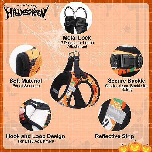 BEAUTYZOO Step-In Dog Harness and Leash Set - Floral Pattern Reflective Vest for Small Dogs, XS Size, No Pull, No Choke