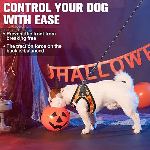 BEAUTYZOO Step-In Dog Harness and Leash Set - Floral Pattern Reflective Vest for Small Dogs, XS Size, No Pull, No Choke