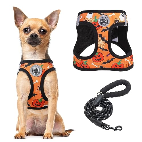 BEAUTYZOO Step-In Dog Harness and Leash Set - Floral Pattern Reflective Vest for Small Dogs, XS Size, No Pull, No Choke