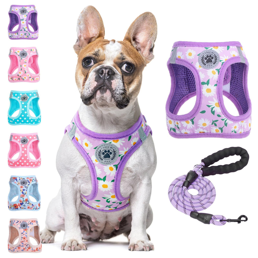 BEAUTYZOO Step-in Dog Harness and Leash Set - Floral Reflective Padded Vest for Small to Large Dogs and Cats, Size Large (Chest 18-21")