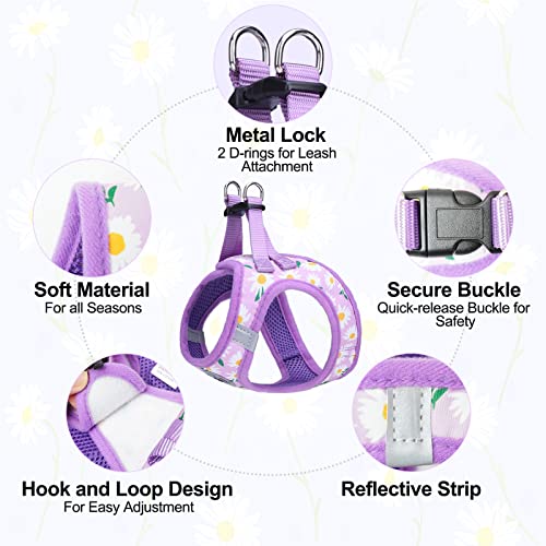 BEAUTYZOO Step-in Dog Harness and Leash Set - Floral Reflective Padded Vest for Small to Large Dogs and Cats, Size Large (Chest 18-21")