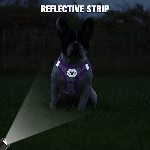 BEAUTYZOO Step-in Dog Harness and Leash Set - Floral Reflective Padded Vest for Small to Large Dogs and Cats, Size Large (Chest 18-21")