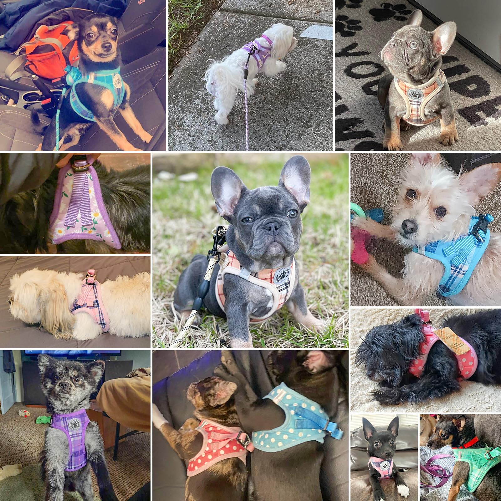BEAUTYZOO Step-in Dog Harness and Leash Set - Floral Reflective Padded Vest for Small to Large Dogs and Cats, Size Large (Chest 18-21")