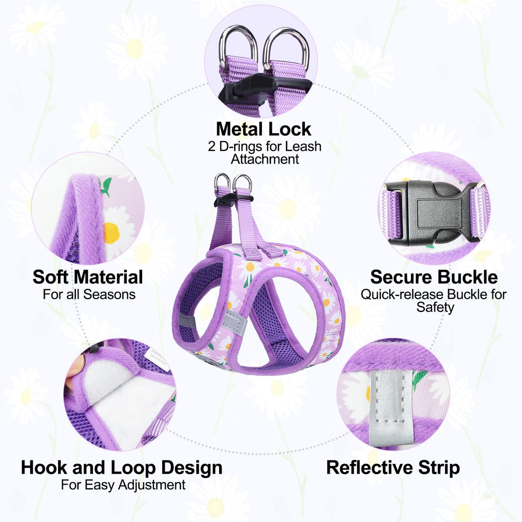 BEAUTYZOO Step-in Dog Harness and Leash Set - Floral Reflective Padded Vest for Small to Large Dogs and Cats, Size Large (Chest 18-21")