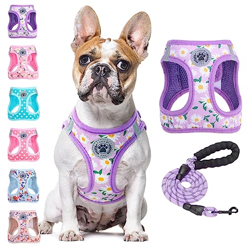 BEAUTYZOO Step-in Dog Harness and Leash Set - Floral Reflective Padded Vest for Small to Large Dogs and Cats, Size Large (Chest 18-21")