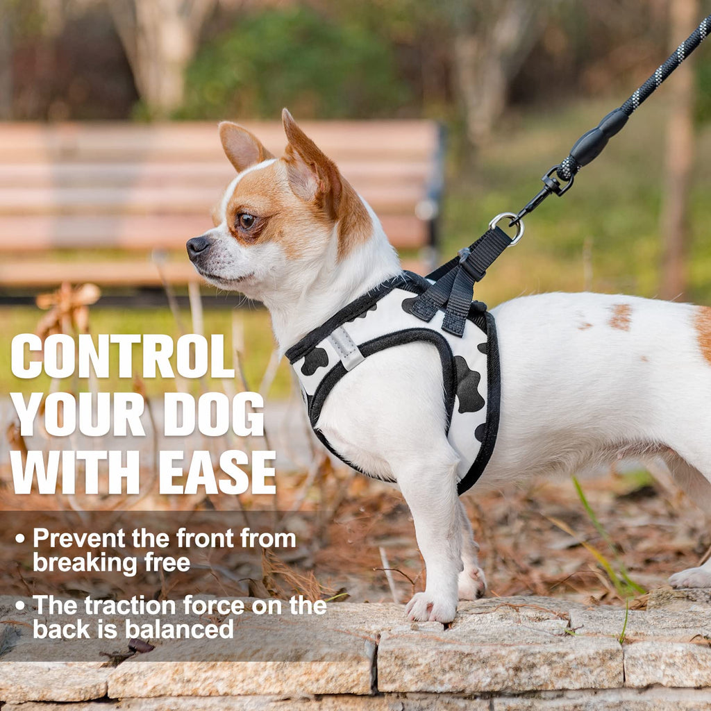 BEAUTYZOO Step-in Dog Harness and Leash Set – Reflective, No-Pull, Machine Washable for Small Dogs & Cats (XXS/XS/S)