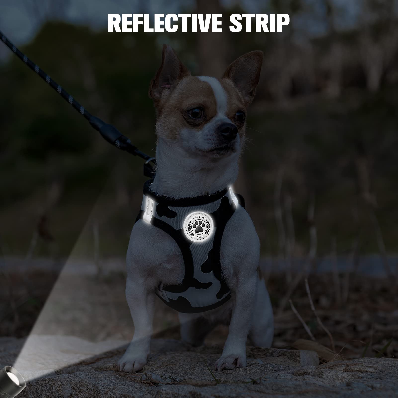 BEAUTYZOO Step-in Dog Harness and Leash Set – Reflective, No-Pull, Machine Washable for Small Dogs & Cats (XXS/XS/S)
