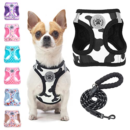 BEAUTYZOO Step-in Dog Harness and Leash Set – Reflective, No-Pull, Machine Washable for Small Dogs & Cats (XXS/XS/S)