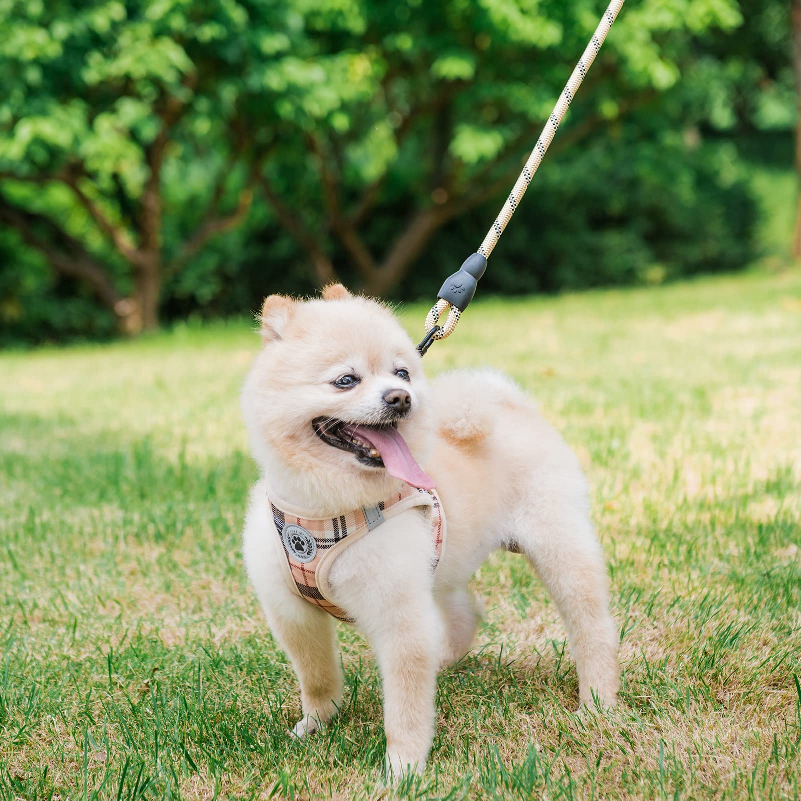 BEAUTYZOO XXS Dog Harness and Leash Set – Step-In No-Choke Vest for Small Puppies, Beige Plaid