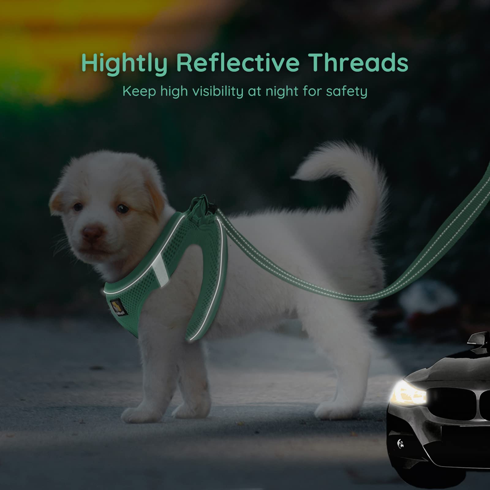 BELLA & PAL Emerald Small Dog Harness and Leash Set - Step In No Pull Reflective Mesh, Size S