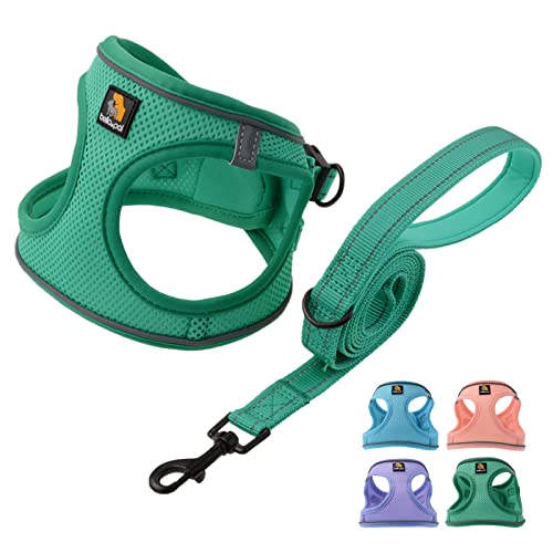 BELLA & PAL Emerald Small Dog Harness and Leash Set - Step In No Pull Reflective Mesh, Size S
