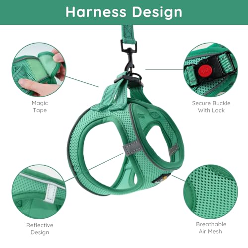 BELLA & PAL Emerald Small Dog Harness and Leash Set - Step In No Pull Reflective Mesh, Size S
