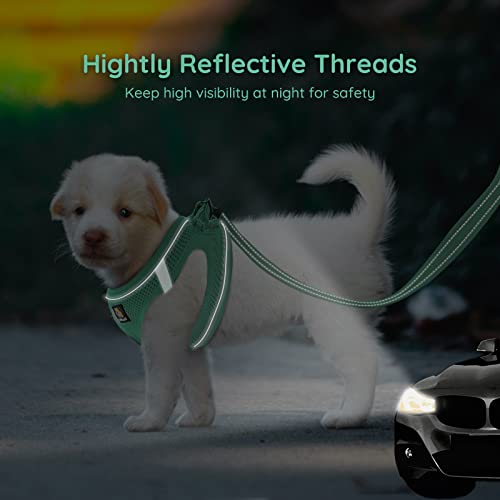 BELLA & PAL Emerald Small Dog Harness and Leash Set - Step In No Pull Reflective Mesh, Size S