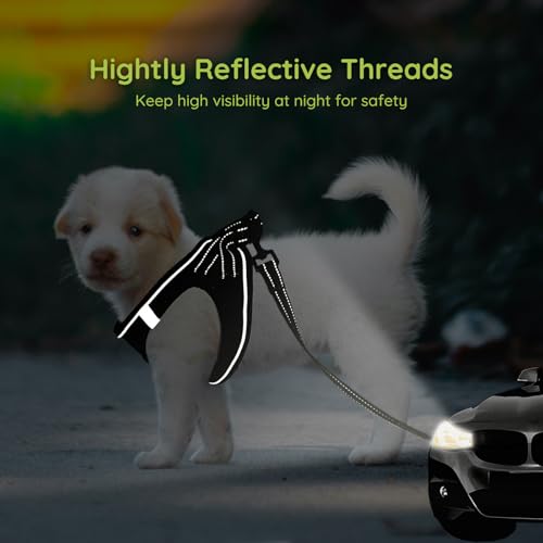 BELLA & PAL Step in Vest Harness for Small and Medium Dogs – No Pull Harness with Leash, Air Mesh, Reflective Strips (Deep Black, M)