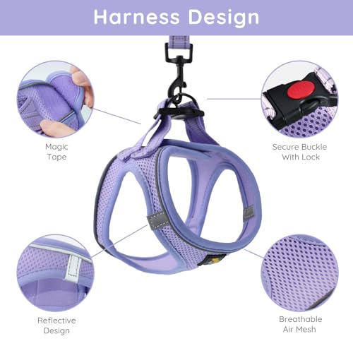 BELLA & PAL Step in Vest Harness for Small and Medium Dogs, No Pull Harness with Leash, Breathable Air Mesh, Reflective Strips, Lavender, Size M