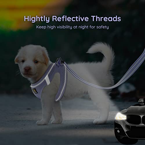 BELLA & PAL Step in Vest Harness for Small and Medium Dogs, No Pull Harness with Leash, Breathable Air Mesh, Reflective Strips, Lavender, Size M