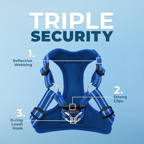 Best Pet Supplies Voyager Adjustable Step-in Dog Harness - Breathable Mesh, No-Pull, Reflective Royal Blue, Medium