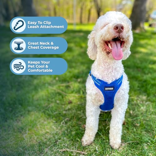 Best Pet Supplies Voyager Adjustable Step-in Dog Harness - Breathable Mesh, No-Pull, Reflective Royal Blue, Medium
