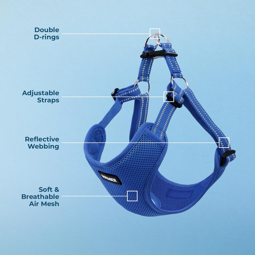 Best Pet Supplies Voyager Adjustable Step-in Dog Harness - Breathable Mesh, No-Pull, Reflective Royal Blue, Medium
