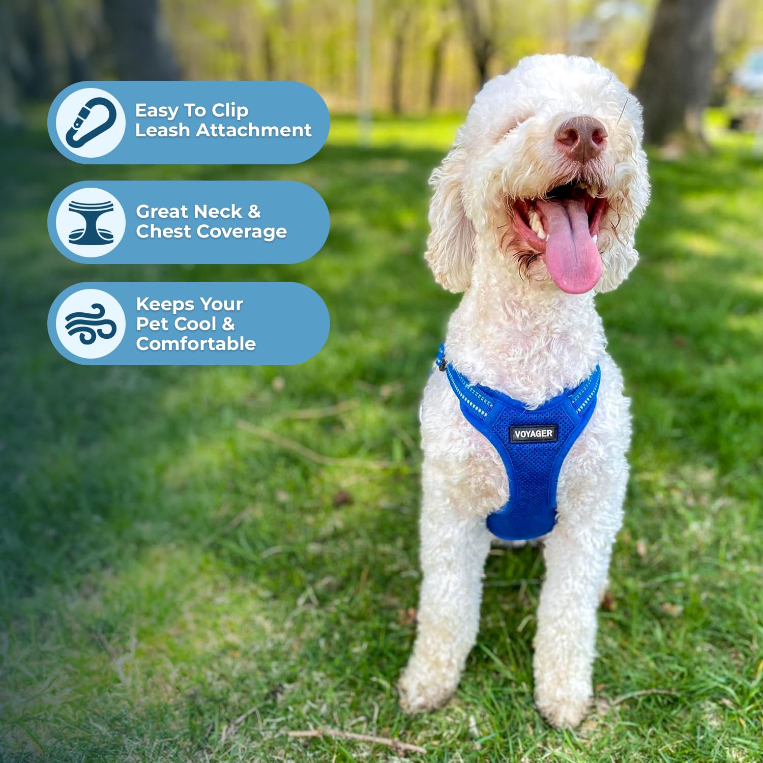 Best Pet Supplies Voyager Adjustable Step-in Dog Harness - Breathable Mesh, No-Pull, Reflective Royal Blue, Medium