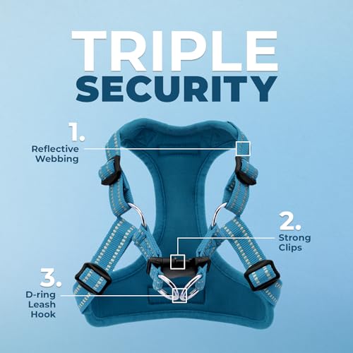Best Pet Supplies Voyager Adjustable Step-in Dog Harness - Size M, Turquoise, Breathable Mesh, No-Pull, Reflective