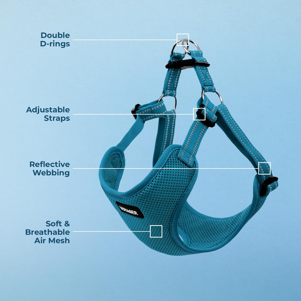 Best Pet Supplies Voyager Adjustable Step-in Dog Harness - Size M, Turquoise, Breathable Mesh, No-Pull, Reflective