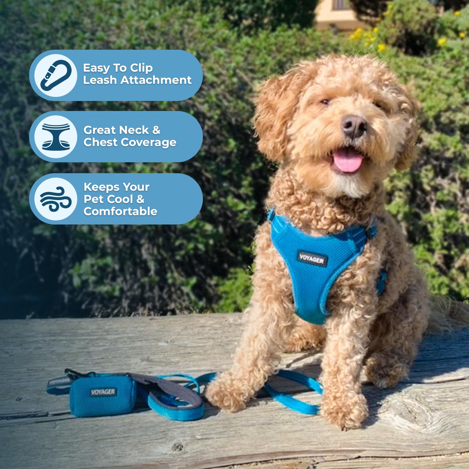 Best Pet Supplies Voyager Adjustable Step-in Dog Harness - Size M, Turquoise, Breathable Mesh, No-Pull, Reflective