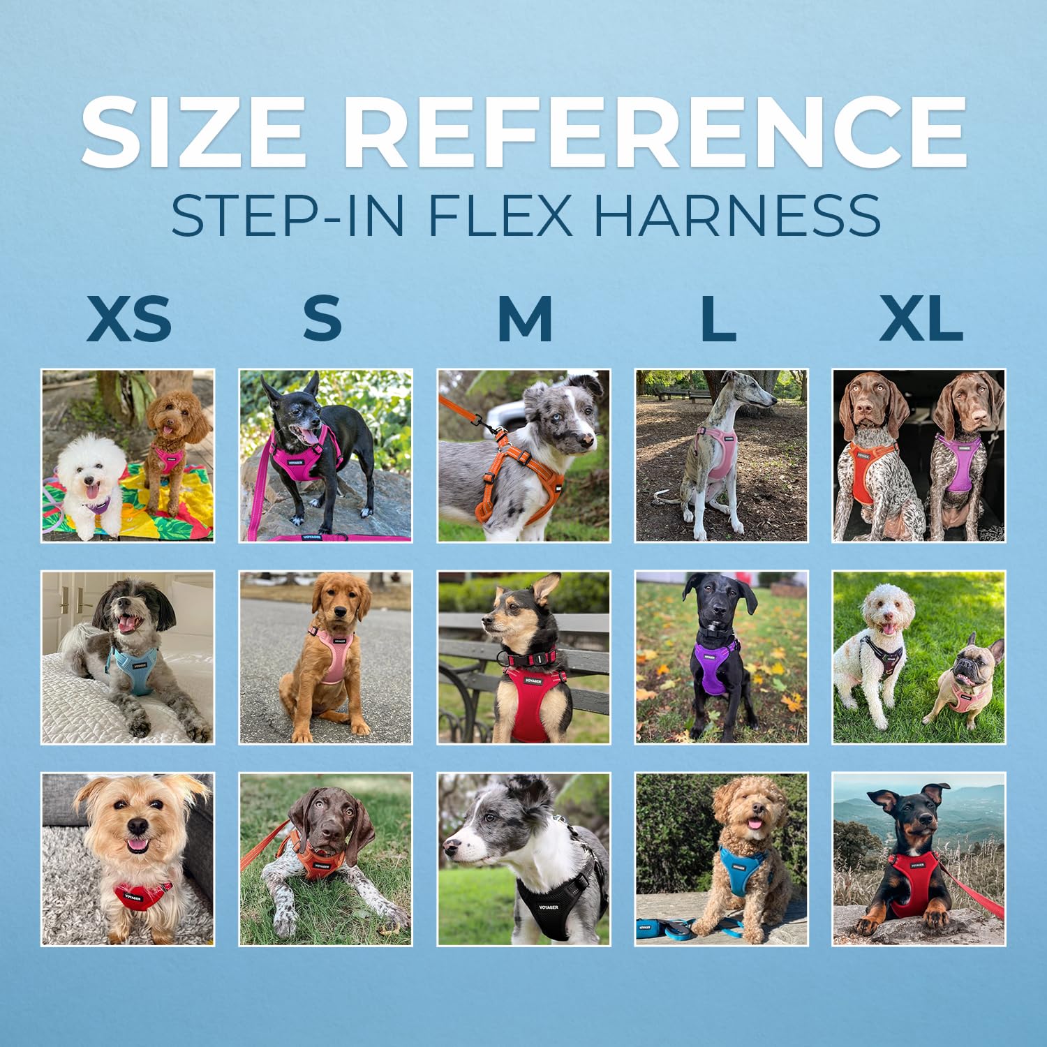 Best Pet Supplies Voyager Adjustable Step-in Dog Harness - Size M, Turquoise, Breathable Mesh, No-Pull, Reflective