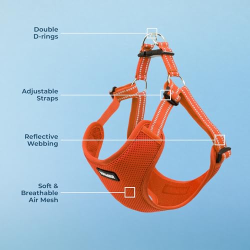 Best Pet Supplies Voyager Adjustable Step-in Dog Harness (Orange, S) – Breathable Mesh No-Pull
