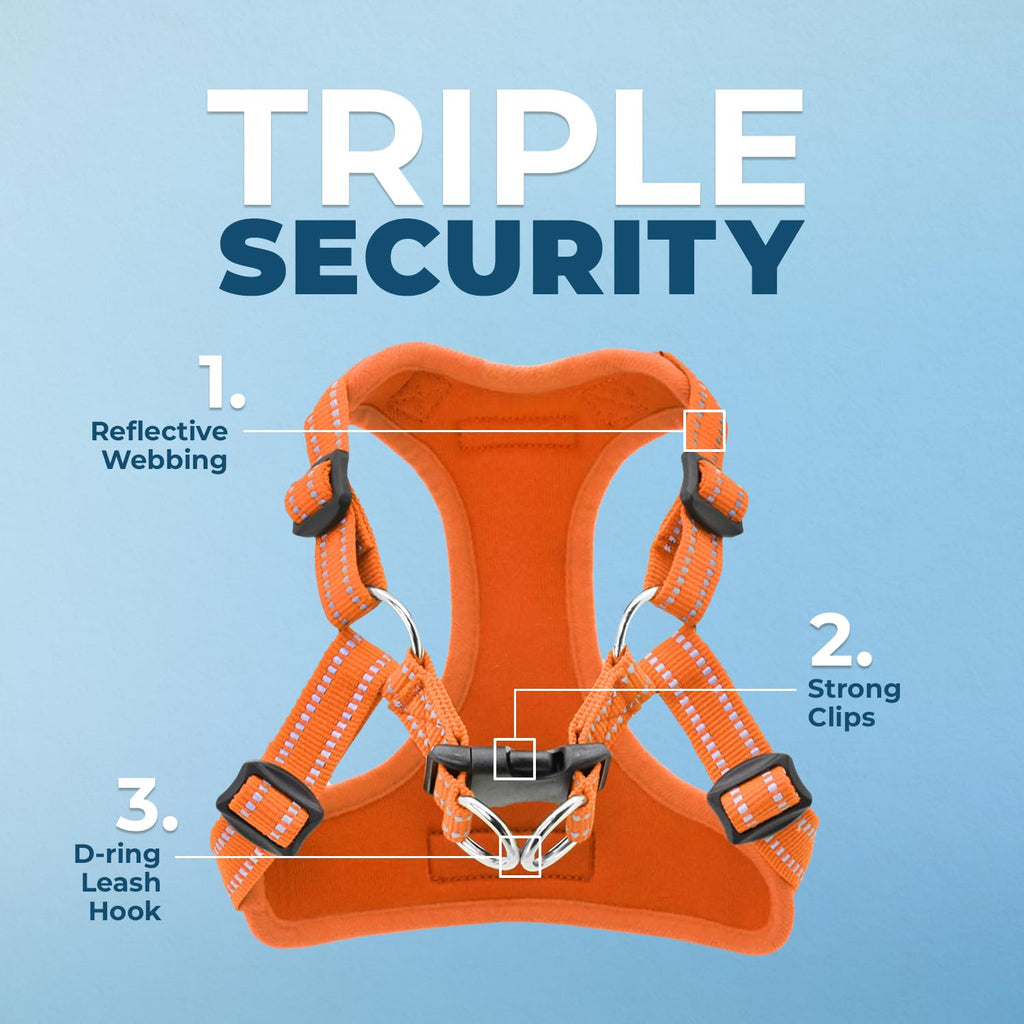 Best Pet Supplies Voyager Adjustable Step-in Dog Harness (Orange, S) – Breathable Mesh No-Pull