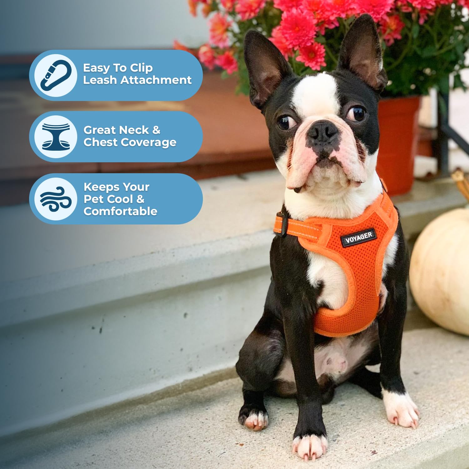 Best Pet Supplies Voyager Adjustable Step-in Dog Harness (Orange, S) – Breathable Mesh No-Pull