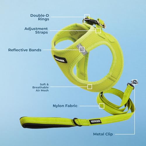 Best Pet Supplies Voyager Step-in Air Mesh Harness and 5ft Leash Set - XX-Small Lime Green for Puppies