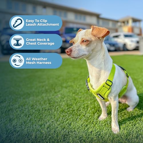 Best Pet Supplies Voyager Step-in Air Mesh Harness and 5ft Leash Set - XX-Small Lime Green for Puppies