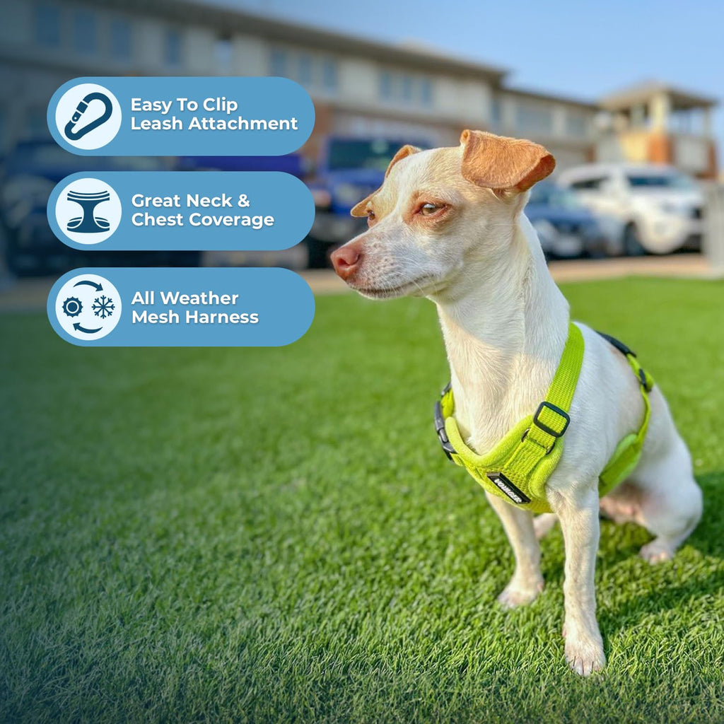 Best Pet Supplies Voyager Step-in Air Mesh Harness and 5ft Leash Set - XX-Small Lime Green for Puppies